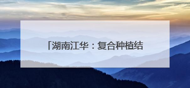湖南江华：复合种植结硕果 龙头兜底助增收