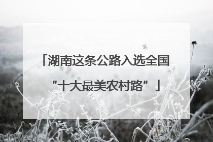 湖南这条公路入选全国“十大最美农村路”