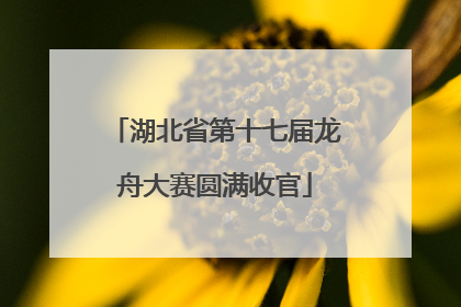 湖北省第十七届龙舟大赛圆满收官