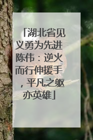 湖北省见义勇为先进陈伟：逆火而行伸援手，平凡之躯亦英雄