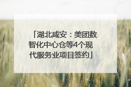 湖北咸安：美团数智化中心仓等4个现代服务业项目签约