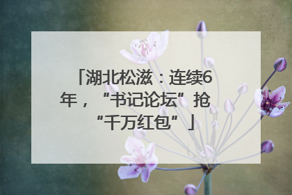 湖北松滋：连续6年，“书记论坛”抢“千万红包”