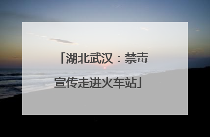 湖北武汉：禁毒宣传走进火车站