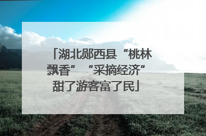湖北郧西县“桃林飘香”“采摘经济”甜了游客富了民