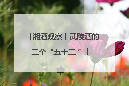 湘酒观察丨武陵酒的三个“五十三 ”