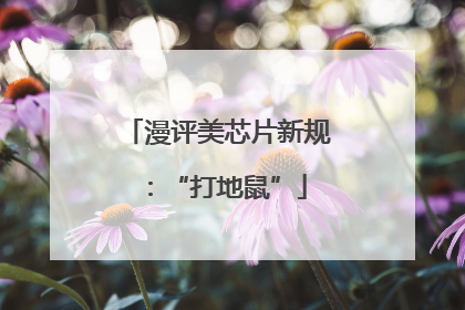 漫评美芯片新规：“打地鼠”