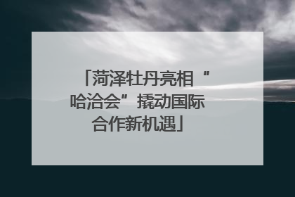 菏泽牡丹亮相“哈洽会”撬动国际合作新机遇