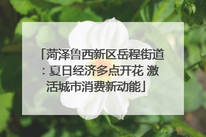 菏泽鲁西新区岳程街道：夏日经济多点开花 激活城市消费新动能