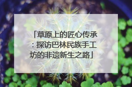 草原上的匠心传承：探访巴林民族手工坊的非遗新生之路