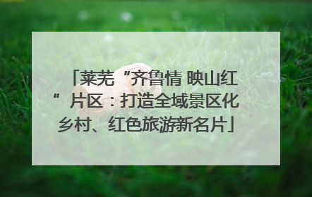 莱芜“齐鲁情 映山红”片区：打造全域景区化乡村、红色旅游新名片