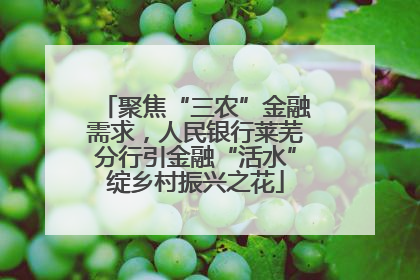聚焦“三农”金融需求，人民银行莱芜分行引金融“活水”绽乡村振兴之花