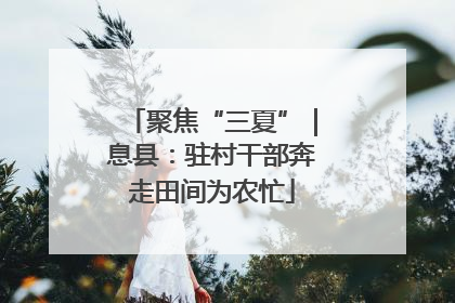聚焦“三夏”｜息县：驻村干部奔走田间为农忙