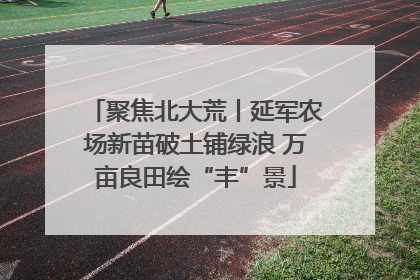 聚焦北大荒丨延军农场新苗破土铺绿浪 万亩良田绘“丰”景