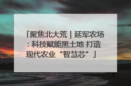 聚焦北大荒｜延军农场：科技赋能黑土地 打造现代农业“智慧芯”