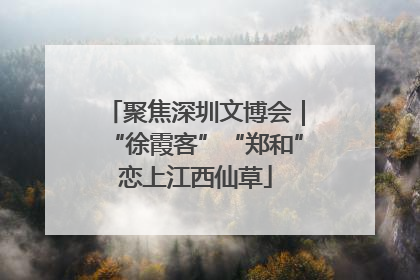 聚焦深圳文博会｜“徐霞客”“郑和”恋上江西仙草