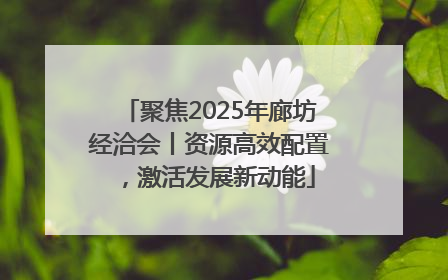 聚焦2025年廊坊经洽会丨资源高效配置，激活发展新动能