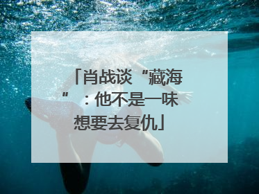 肖战谈“藏海”：他不是一味想要去复仇