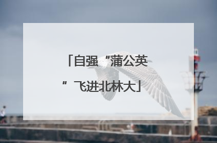 自强“蒲公英”飞进北林大