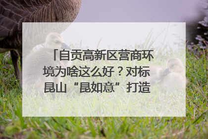 自贡高新区营商环境为啥这么好？对标昆山“昆如意”打造自贡“高兴办”｜美好生活有“盐”味
