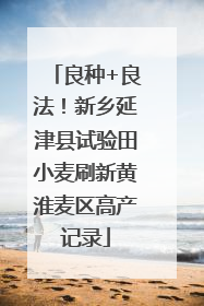 良种+良法！新乡延津县试验田小麦刷新黄淮麦区高产记录