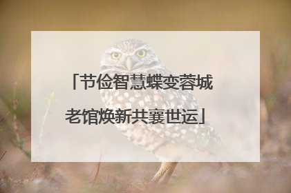 节俭智慧蝶变蓉城 老馆焕新共襄世运