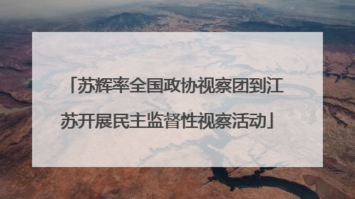 苏辉率全国政协视察团到江苏开展民主监督性视察活动
