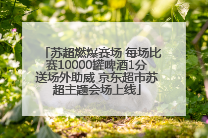 苏超燃爆赛场 每场比赛10000罐啤酒1分送场外助威 京东超市苏超主题会场上线