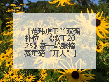 范玮琪卫兰双强补位，《歌手2025》新一轮张榜赛重磅“开大”
