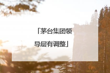 茅台集团领导层有调整