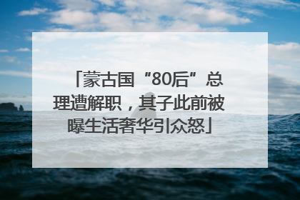 蒙古国“80后”总理遭解职，其子此前被曝生活奢华引众怒