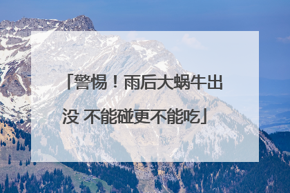 警惕！雨后大蜗牛出没 不能碰更不能吃