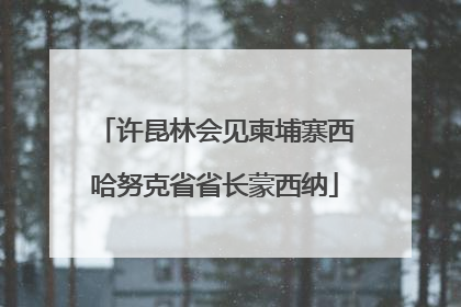 许昆林会见柬埔寨西哈努克省省长蒙西纳
