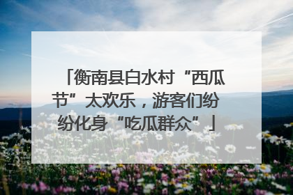 衡南县白水村“西瓜节”太欢乐，游客们纷纷化身“吃瓜群众”