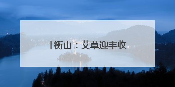 衡山：艾草迎丰收 助力村集体增收
