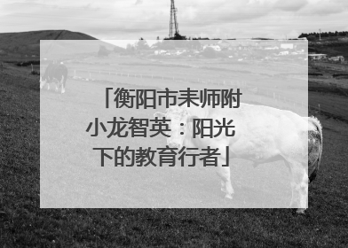 衡阳市耒师附小龙智英：阳光下的教育行者