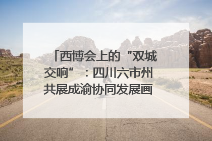 西博会上的“双城交响”：四川六市州共展成渝协同发展画卷｜西博视界