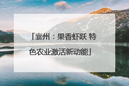 襄州：果香虾跃 特色农业激活新动能