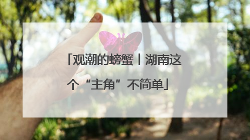 观潮的螃蟹丨湖南这个“主角”不简单