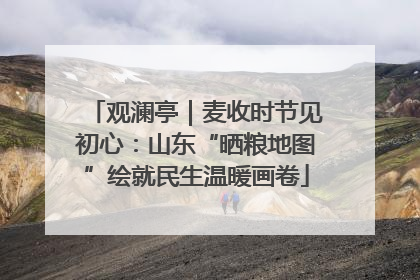观澜亭｜麦收时节见初心：山东“晒粮地图”绘就民生温暖画卷