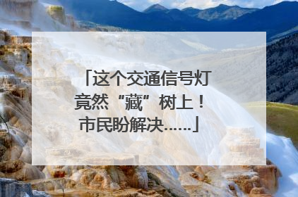 这个交通信号灯竟然“藏”树上！市民盼解决……