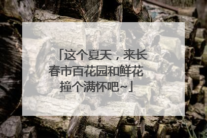 这个夏天，来长春市百花园和鲜花撞个满怀吧~