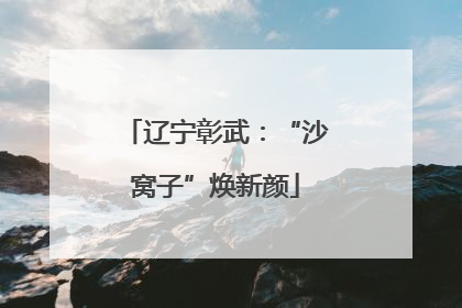辽宁彰武：“沙窝子”焕新颜