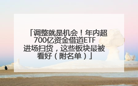 调整就是机会！年内超700亿资金借道ETF进场扫货，这些板块最被看好（附名单）