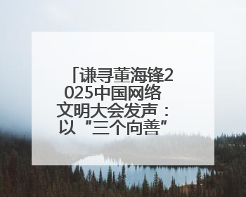 谦寻董海锋2025中国网络文明大会发声：以“三个向善”构建直播电商善意长河