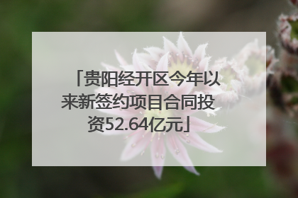 贵阳经开区今年以来新签约项目合同投资52.64亿元
