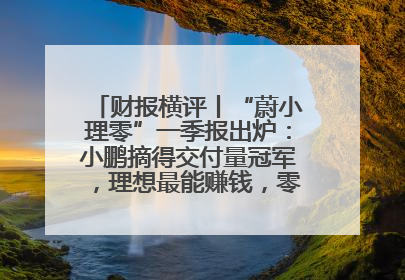 财报横评丨“蔚小理零”一季报出炉：小鹏摘得交付量冠军，理想最能赚钱，零跑迎头赶上，蔚来还在调整