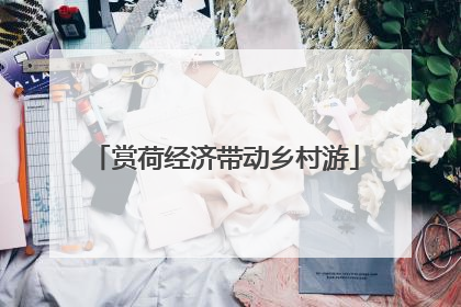 赏荷经济带动乡村游