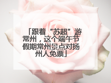 跟着“苏超”游常州，这个端午节假期常州景点对扬州人免票
