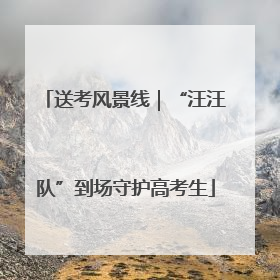 送考风景线｜“汪汪队”到场守护高考生