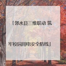邻水县三维联动 筑牢校园用电安全防线